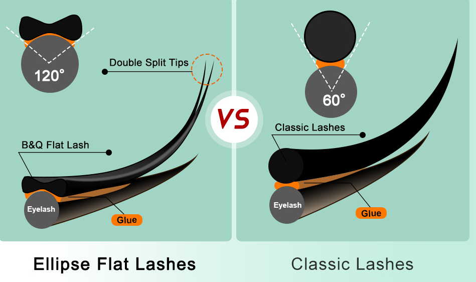 flat lash vs classic lash