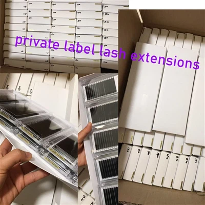 Nhãn hiệu riêng mở rộng lông mi cổ điển